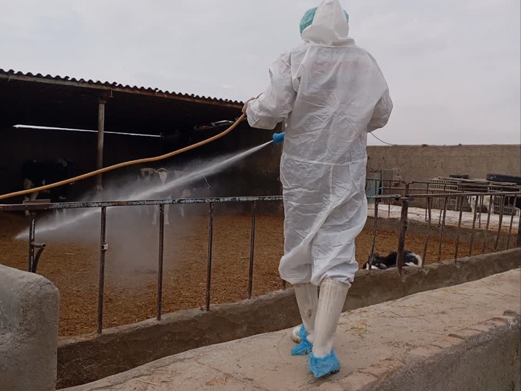 تاکید بر استمرار رعایت شرایط بهداشتی قرنطینه ای در گناباد